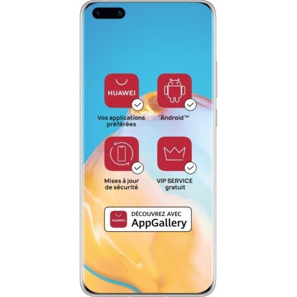 Huawei P40 Pro Elsa Gray 256 Go (Services Google Non Integres)