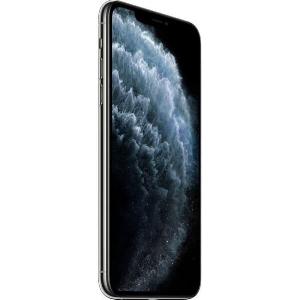 Apple Iphone 11 Pro Max Argent 256 Go – Image 4
